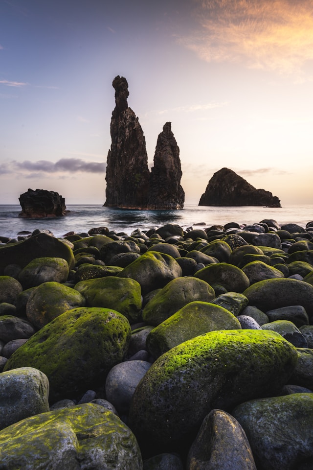 Django E-commerce Template